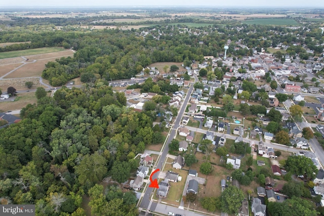 bird's eye view