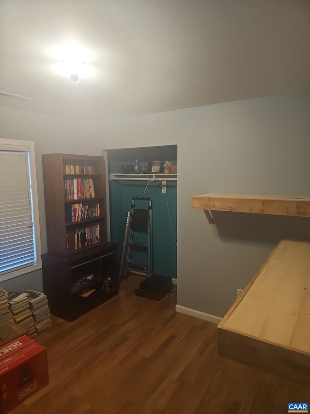 spacious closet featuring dark wood-type flooring