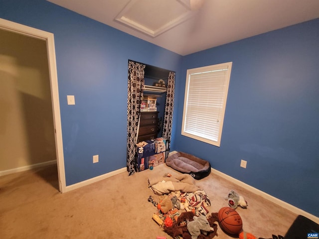 miscellaneous room with carpet flooring