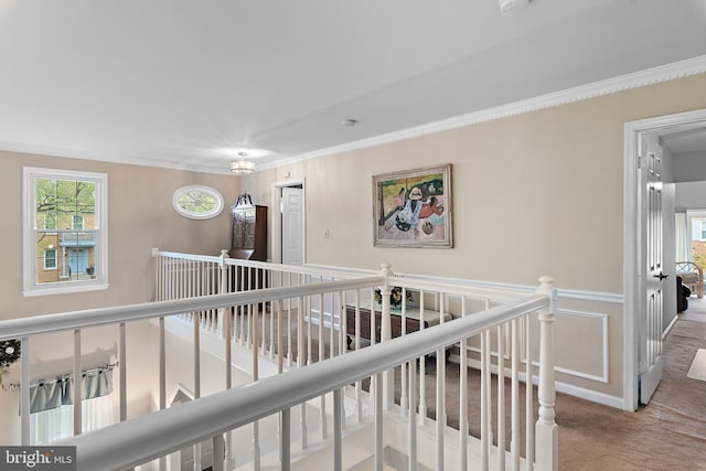 hall with crown molding and carpet