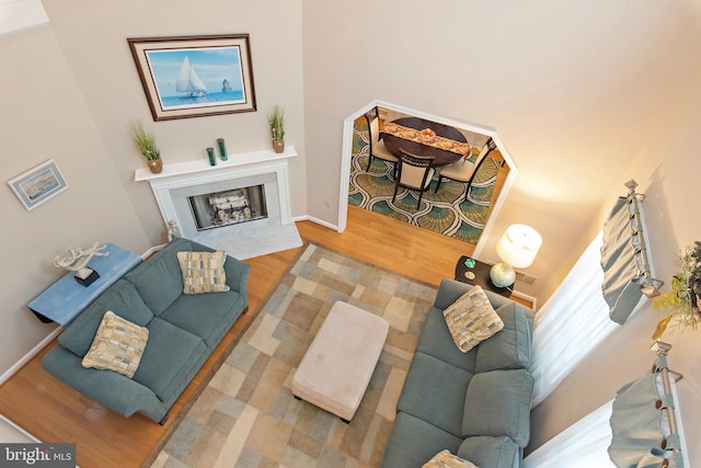 living room featuring a premium fireplace and light wood-type flooring