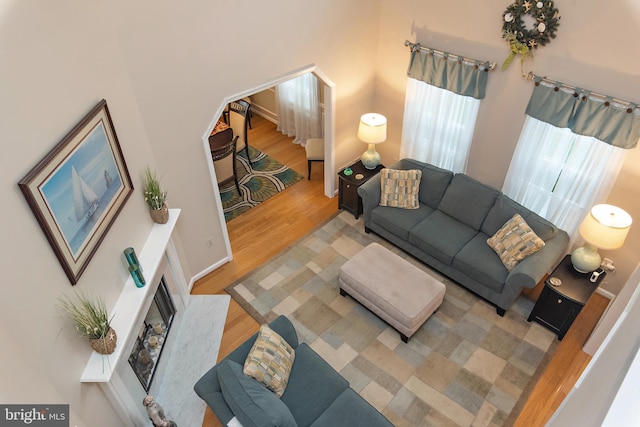 living room featuring wood-type flooring