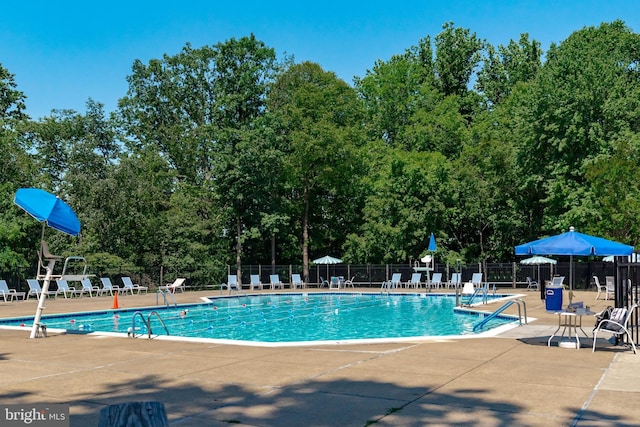 view of swimming pool featuring a patio area