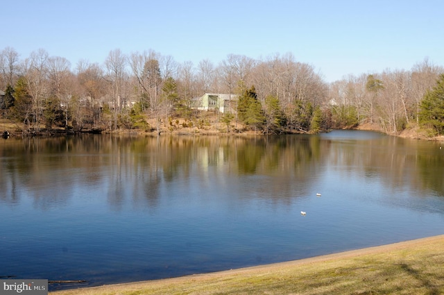 view of water feature