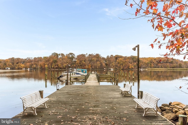 view of dock with a water view