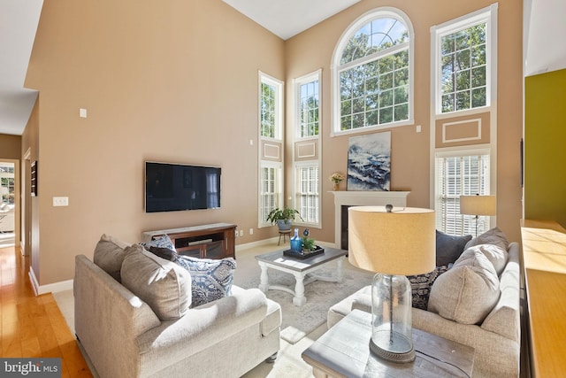 living room featuring a high ceiling and light hardwood / wood-style flooring