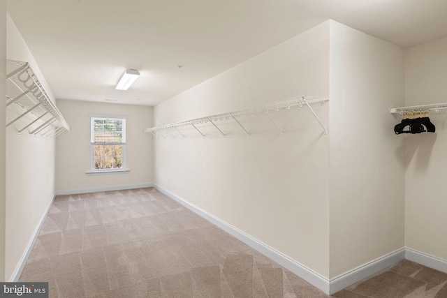 walk in closet with light colored carpet