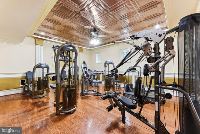 workout area featuring wood-type flooring, crown molding, and ceiling fan