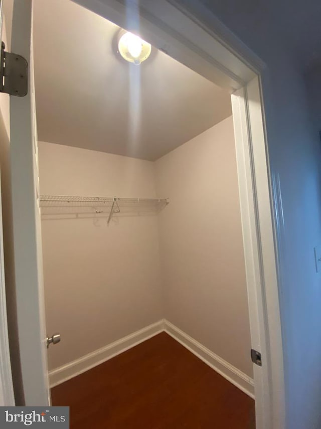 walk in closet with dark hardwood / wood-style flooring