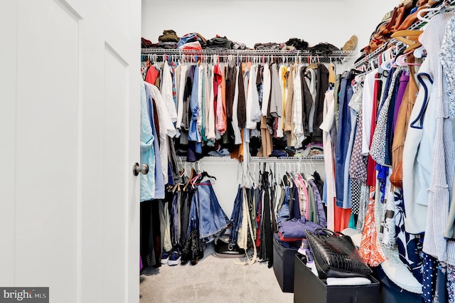 walk in closet featuring carpet flooring