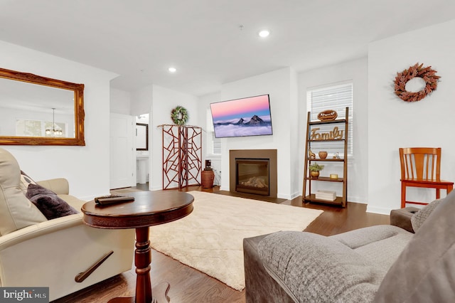 living room with dark hardwood / wood-style flooring