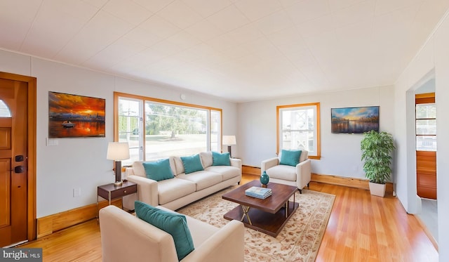 living room featuring ornamental molding and light hardwood / wood-style flooring