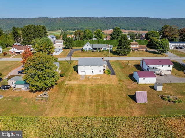 bird's eye view