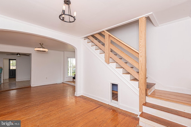 stairway with ceiling fan with notable chandelier, crown molding, hardwood / wood-style floors, and a healthy amount of sunlight