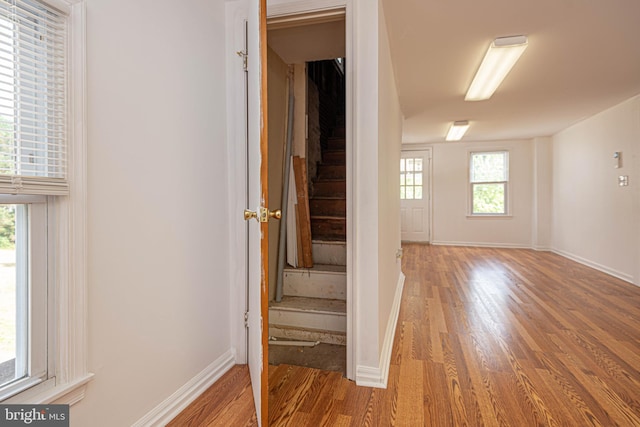 hallway featuring hardwood / wood-style floors