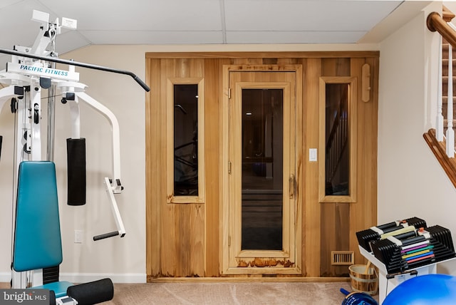 exercise room featuring wooden walls and carpet flooring