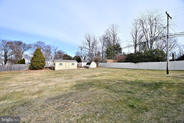 view of yard with a storage unit