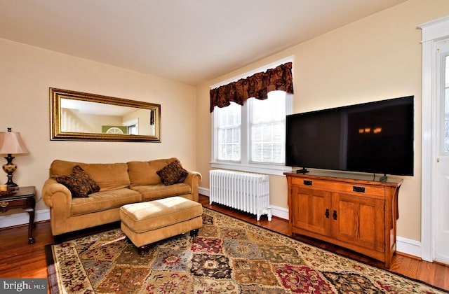 living room featuring hardwood / wood-style flooring and radiator heating unit