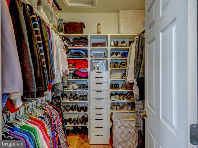 spacious closet with wood-type flooring