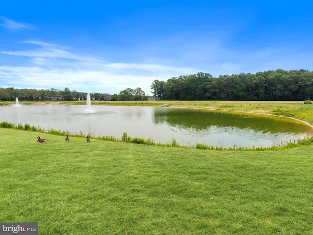 property view of water