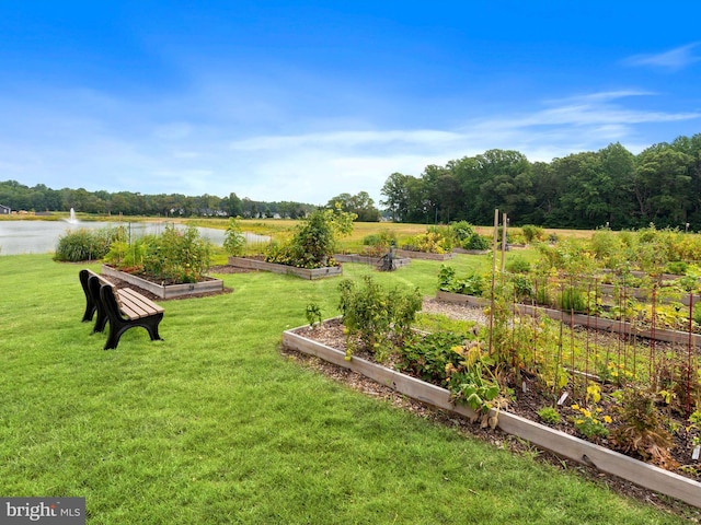 view of property's community with a lawn and a water view