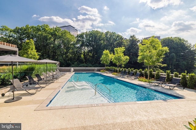 view of swimming pool with a patio