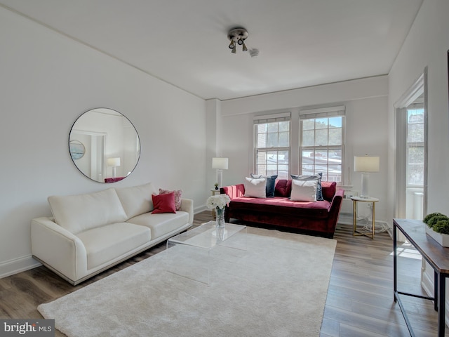 living room with wood-type flooring