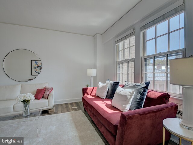 living room with wood-type flooring