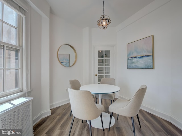 dining space with radiator and dark hardwood / wood-style floors