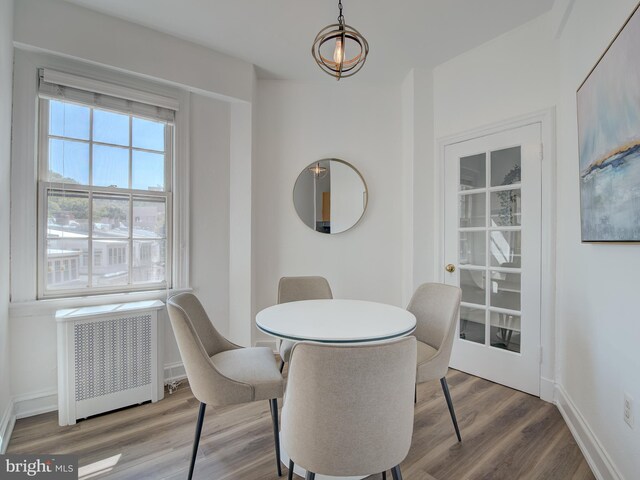 dining room featuring radiator and hardwood / wood-style floors