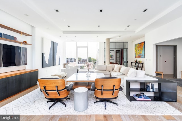 living room with light wood-type flooring