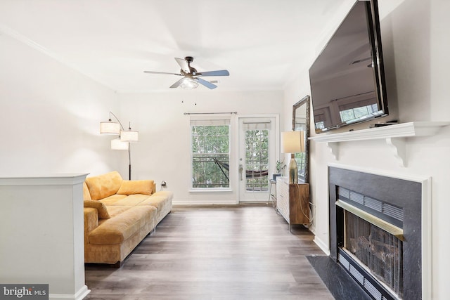 living room featuring ornamental molding, dark wood-type flooring, and ceiling fan