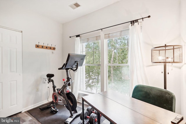 workout room featuring wood-type flooring