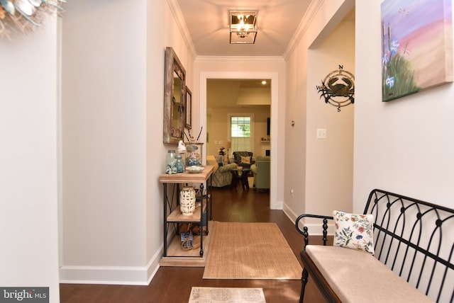 hallway featuring dark hardwood / wood-style floors and crown molding