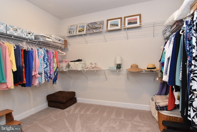 walk in closet featuring carpet flooring