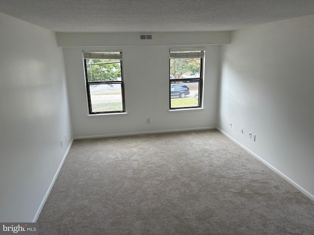 spare room featuring a textured ceiling, light carpet, and plenty of natural light