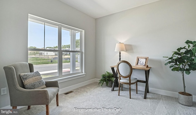 carpeted office space with a healthy amount of sunlight