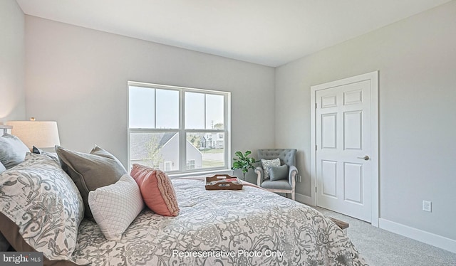 bedroom with carpet floors