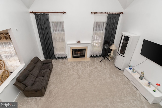 carpeted living room featuring heating unit