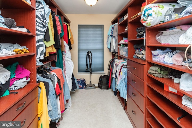 walk in closet with light colored carpet