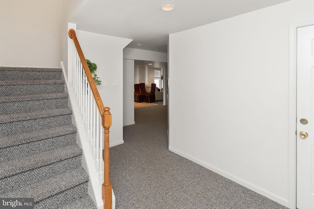 staircase with carpet floors