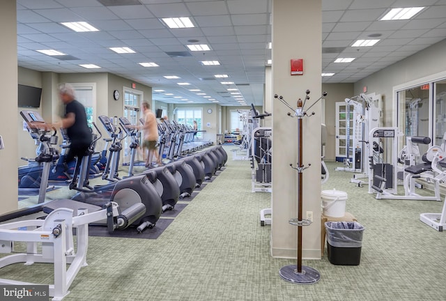 gym with carpet and a drop ceiling