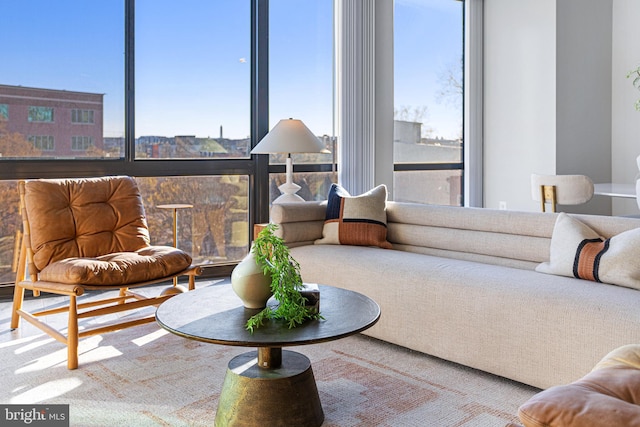 living room with a wealth of natural light