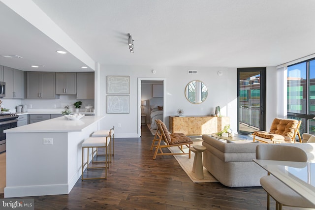 living room with plenty of natural light and dark hardwood / wood-style floors