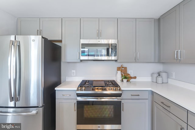 kitchen with appliances with stainless steel finishes and gray cabinetry