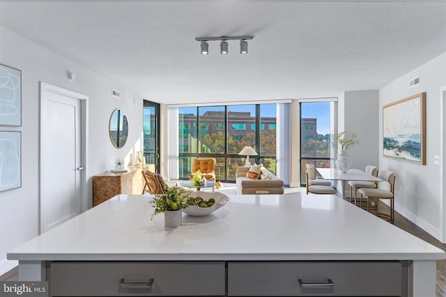 kitchen featuring a textured ceiling, a center island, rail lighting, gray cabinetry, and dark hardwood / wood-style flooring