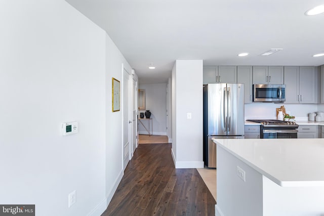 kitchen with gray cabinets, dark hardwood / wood-style flooring, and stainless steel appliances