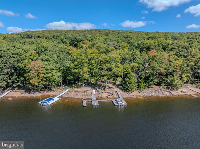 drone / aerial view featuring a water view