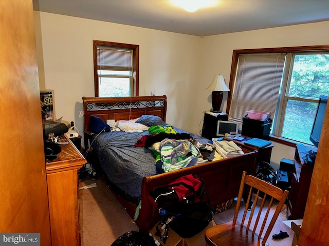 bedroom featuring carpet floors