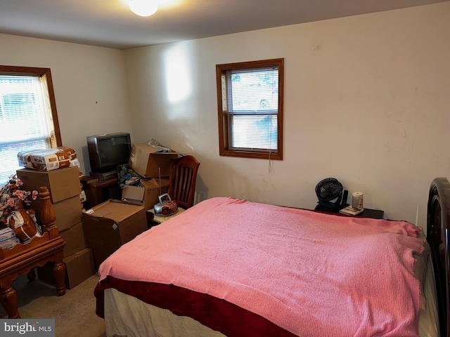 bedroom with multiple windows and carpet flooring